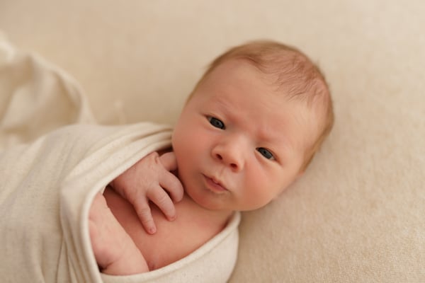 A newborn awake in a cream wrap, lying on a cream backdrop