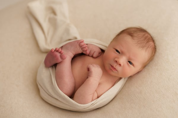A newborn awake in a cream wrap on a cream backdrop, looking towards the camera