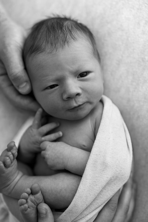 Close-up of an awake newborn in a wrap looking upward, a hand supporting their head, in black and white