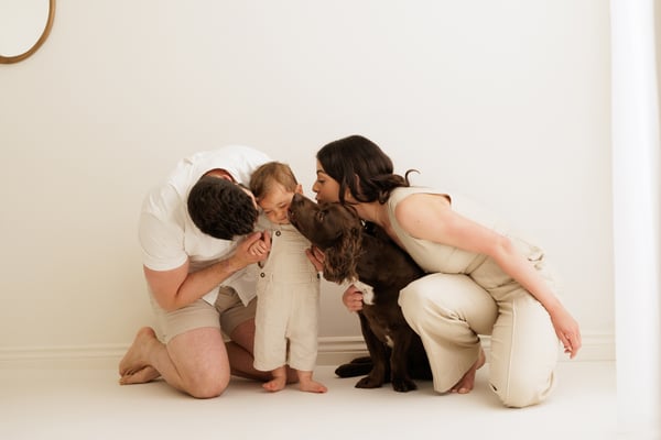 Both parents kneeling to kiss their toddler in the studio, the family dog beside them