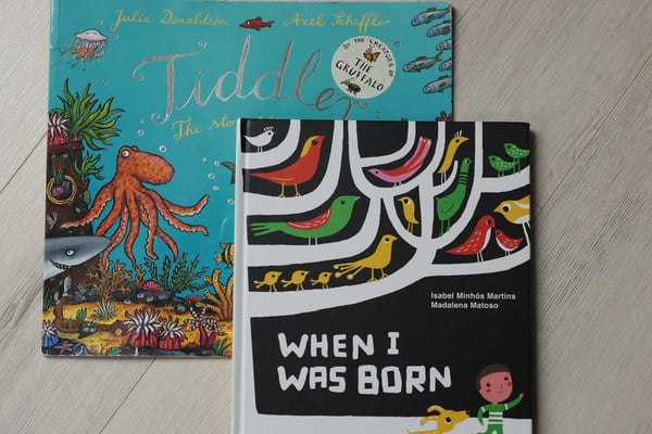 Two children's picture books lying on the pale wooden floor of the sibling room