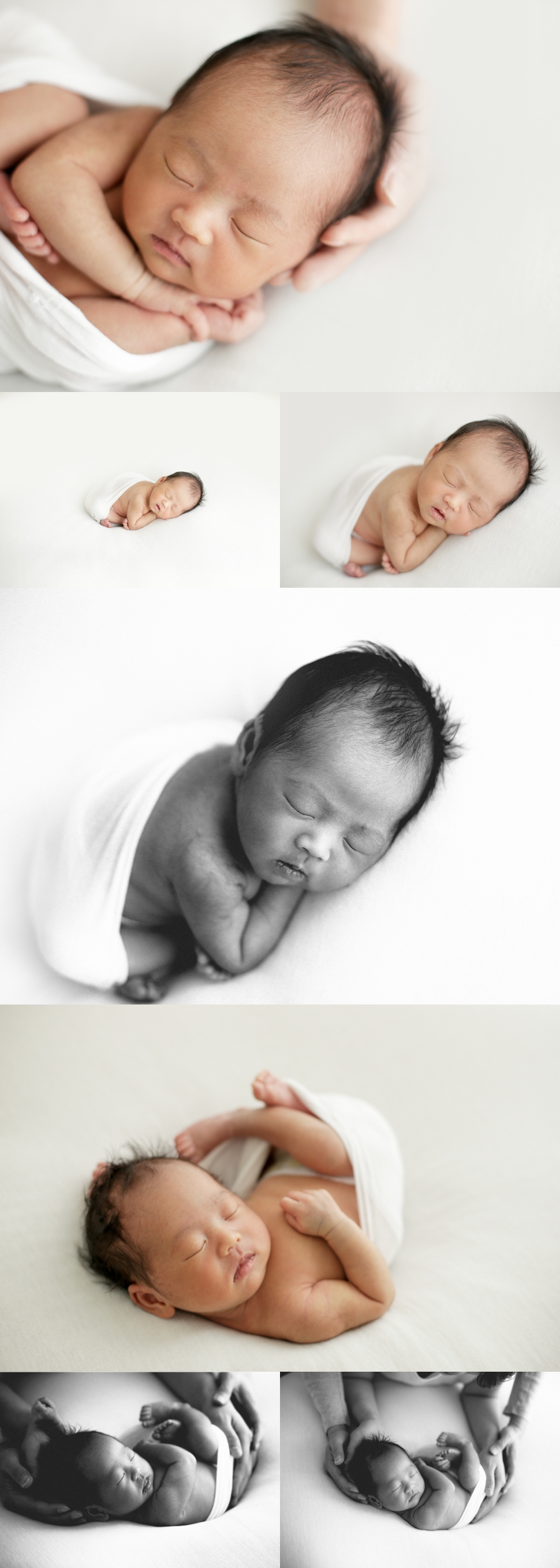 Francesca DB Photography