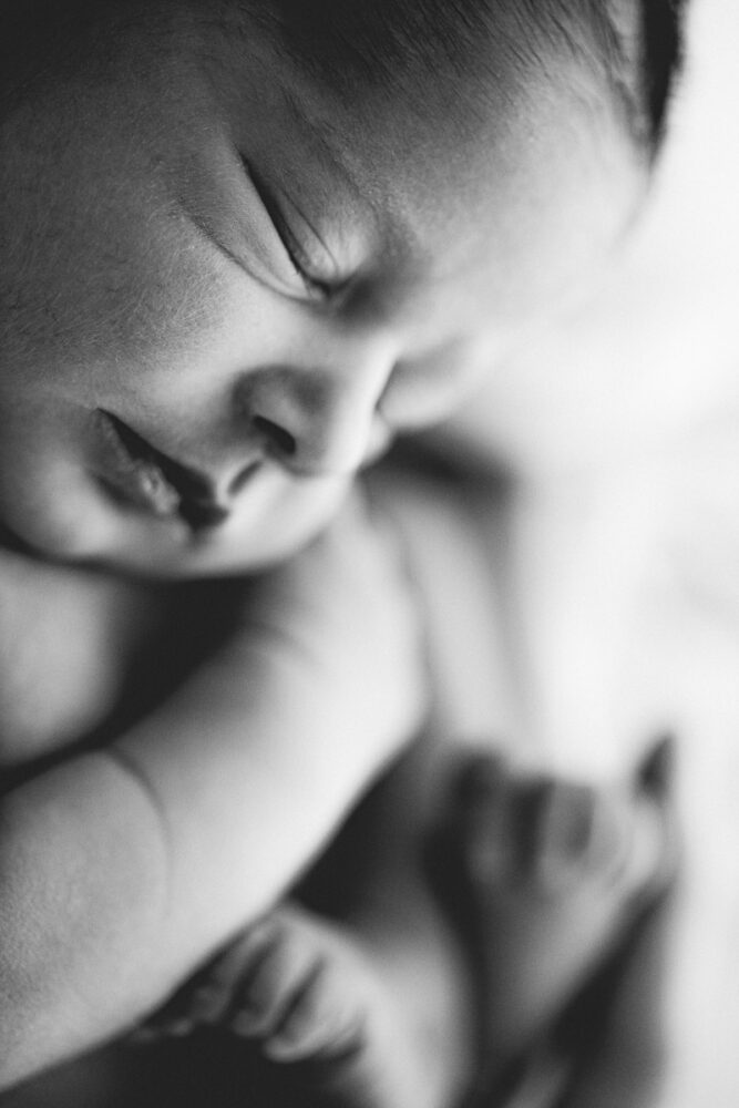 newborn photography session by francesca db photography